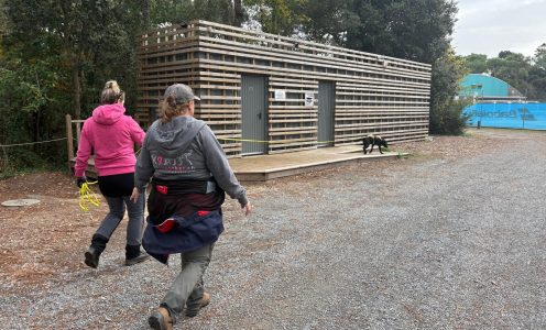 Stages avec Paulina Druri 2025, en Vendée