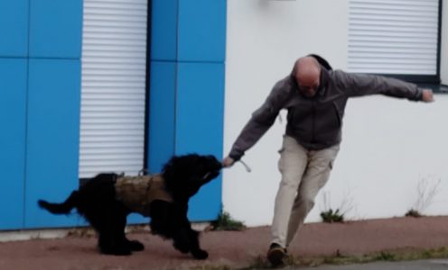 Christoph Rosenberger, GAK9 Autriche, de retour en Vendée  !