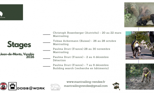 Programme Georgia K9 2026