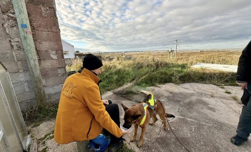 Stage avec Corina Rüegger – Novembre 2025 Saint-Jean de Monts