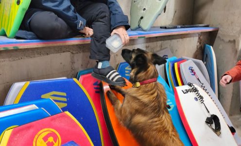 Building search avec Paulina Druri