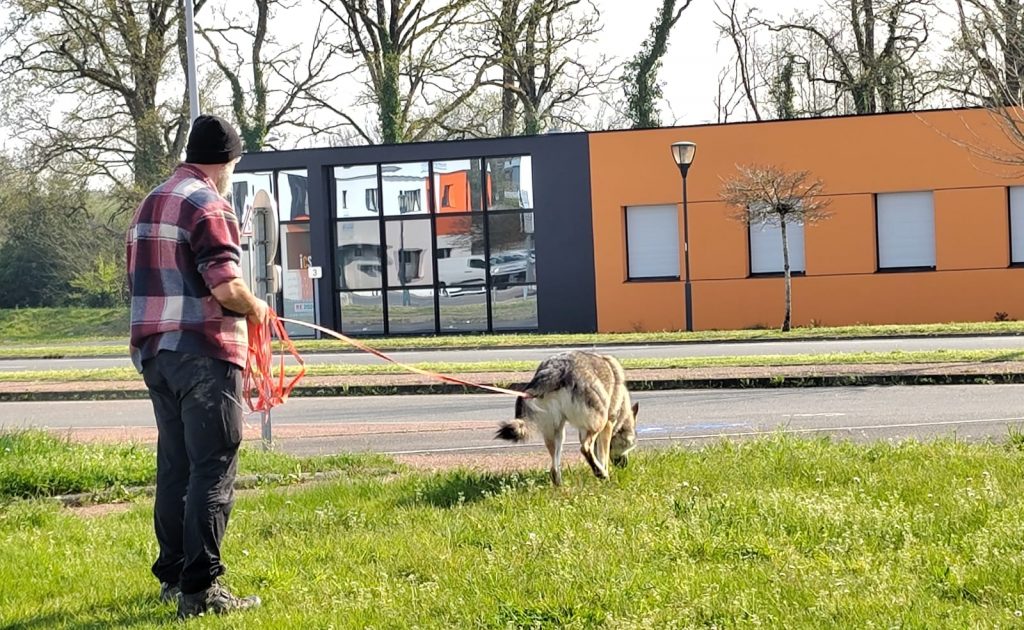Damien & Vlad, stage Christoph Rosenberger, Vendée