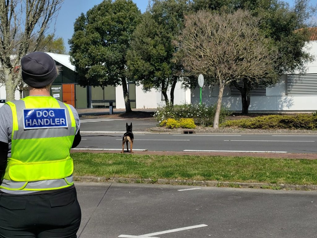 Zoé & Evi, stage Christoph Rosenberger, Vendée. 