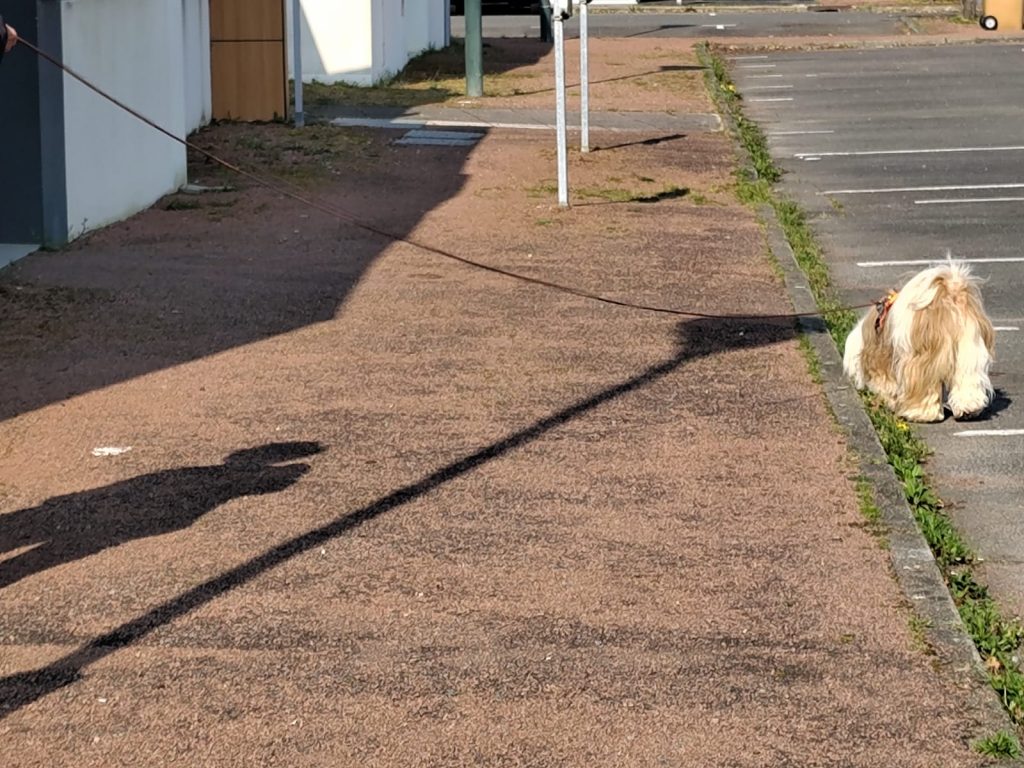 Catherine & Shaina, stage Christoph Rosenberger Vendée